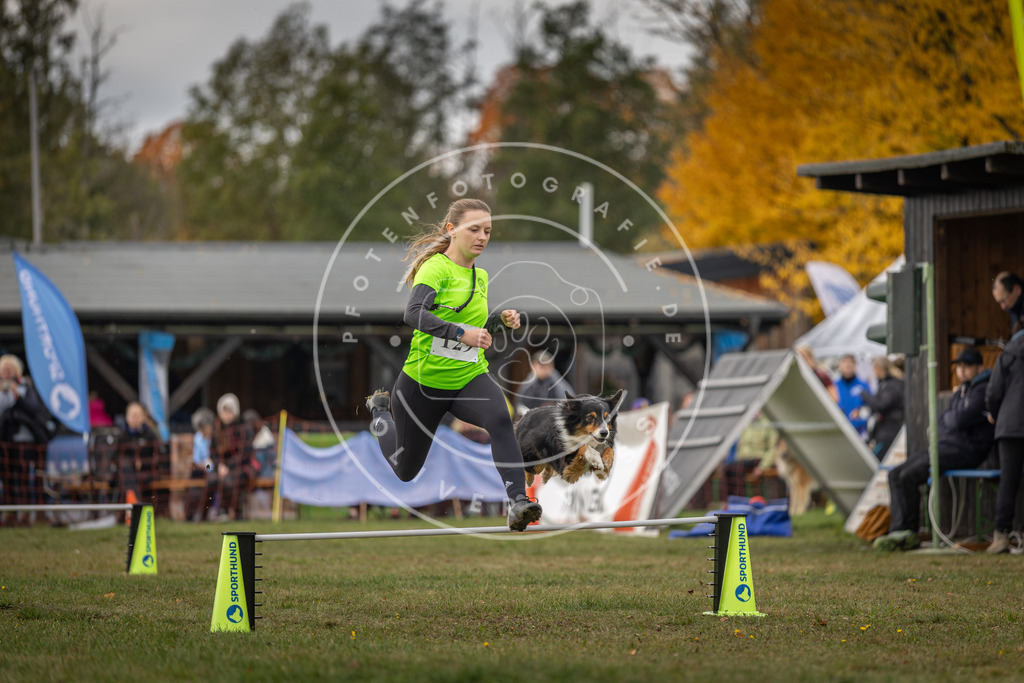 Pfotenfotografie_DV3A6607 | Hundefotografie, Tierfotograf, Pfotenfotografie, Fotoshooting Hund, Hunde Portrait, Hundesport, Hundeportraits, Heideshooting, Hunde, Sportfotograf, Hundefotograf, Turnierhundsport, THS,  - Realisiert mit Pictrs.com