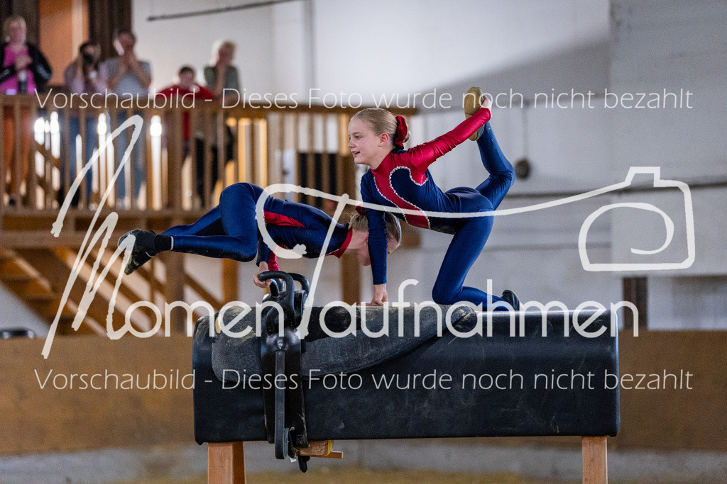 Holzpferd-080 | MomenTaufnahmen Pferdesportfotos