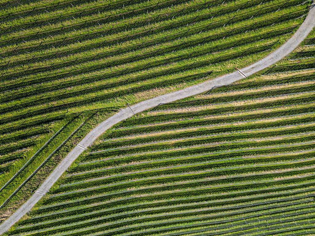 2023_03_13 Blick auf Thaler Reben und Wege 01 | default - Realisiert mit Pictrs.com