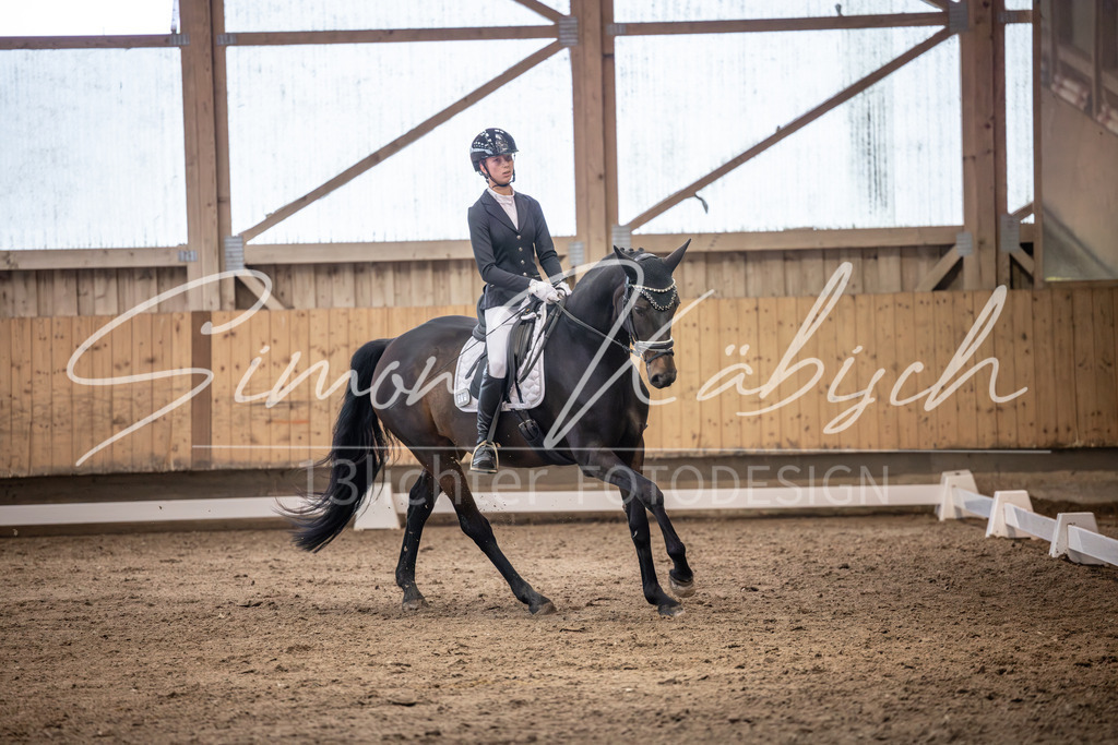 20251011-_3LI1808 | Tierfotografie Pferde, Hunde, Katzen, Haustiere.
Turnierfotografie Reitturniere, Reiten, Springreiten, Dressur in Hanau, dem Main-Kinzig-Kreis und dem Rhein-Main- Gebiet um Frankfurt