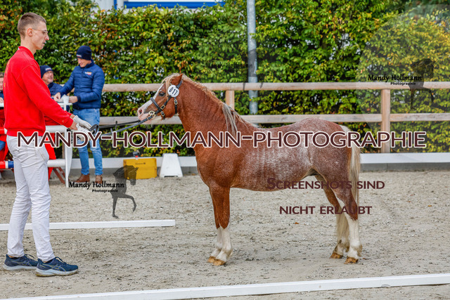 GK (174 von 759) | mandyhollmannphotographie