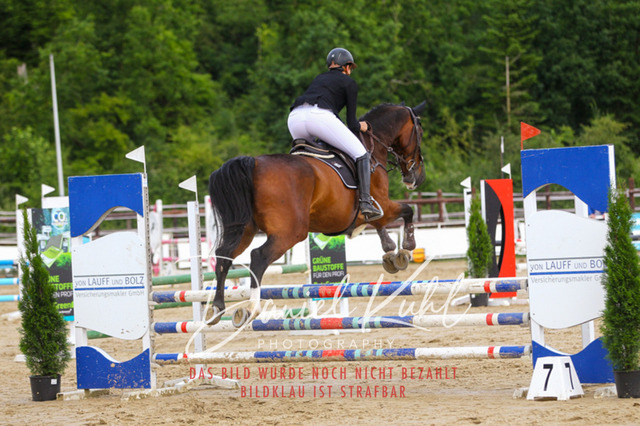 DKP41517 | Turniersportfotografie; Pferdefotografie; Dressurfotografie