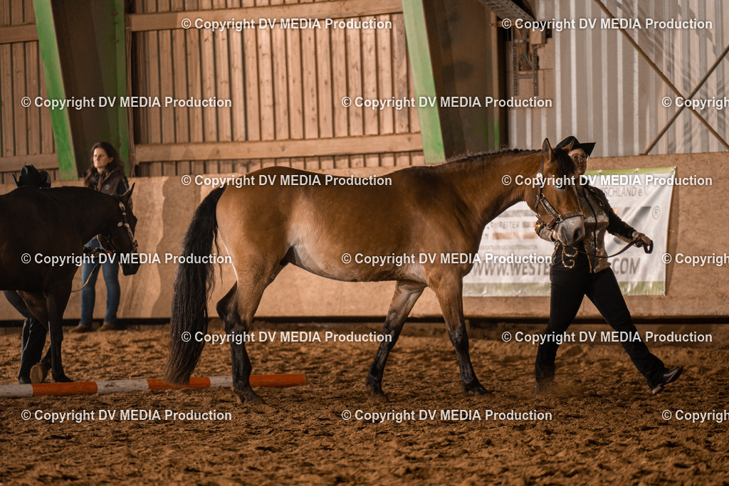 BAL01179 | dv-media-shop - Realisiert mit Pictrs.com