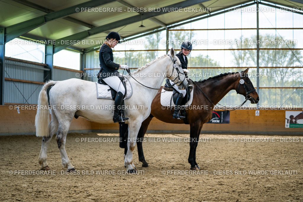 DSC05767 | Pferdegrafie