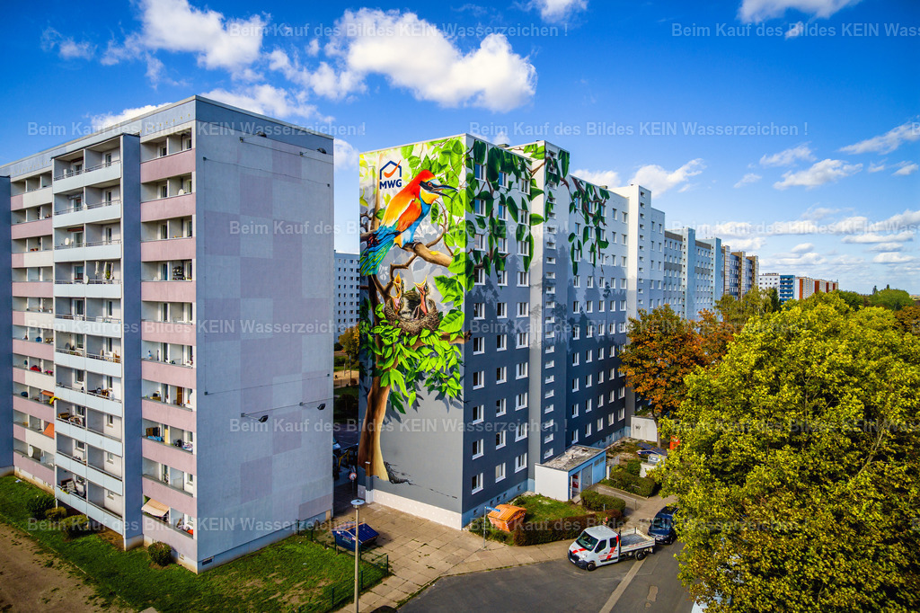 MWG Kannenstieg-0003 | Wandbild der MWG Magdeburg Nord, Otto-Nagel-Straße - Realizado com Pictrs.com