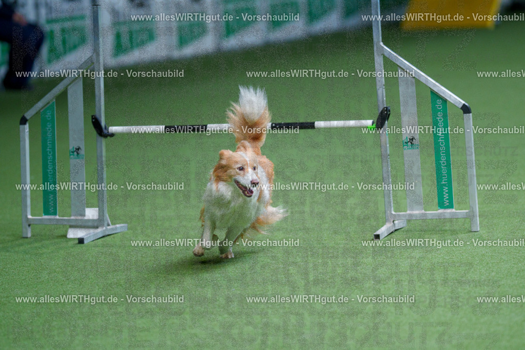 @allesWIRTHgut_Tierfotografie - www.allesWIRTHgut.de - 2604260920-7R507383 | Professionelle Tierfotografie in Mönchengladbach von Daniel Wirth (allesWIRTHgut). Liebevolle & natürliche Bilder von Hunden & Katzen für unvergessliche Erinnerungen.