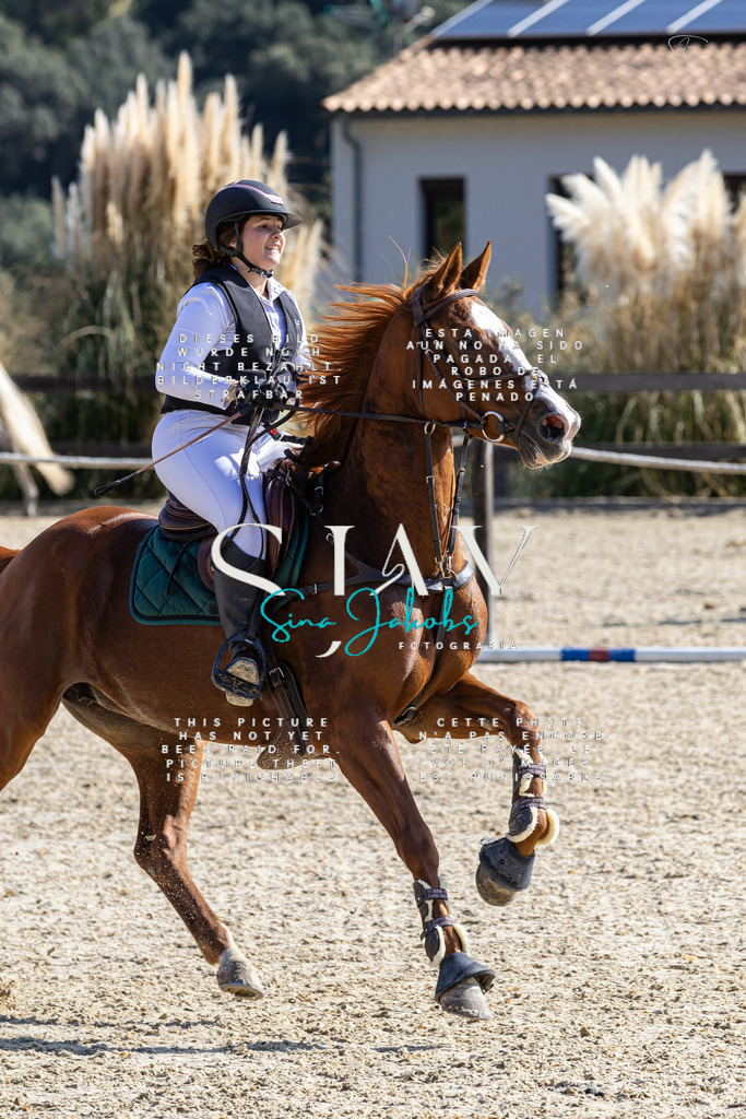 IMG_6333 | s-jay-photography - Realisiert mit Pictrs.com