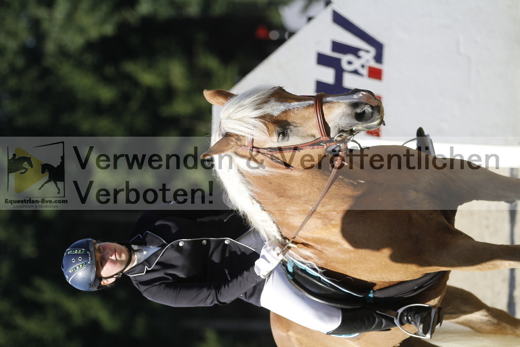 _MG_4352 | equestrian-live-com