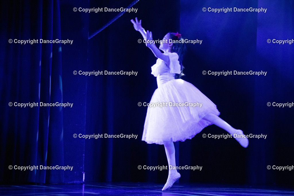 GPHY2564 | DanceGraphy - Realisiert mit Pictrs.com