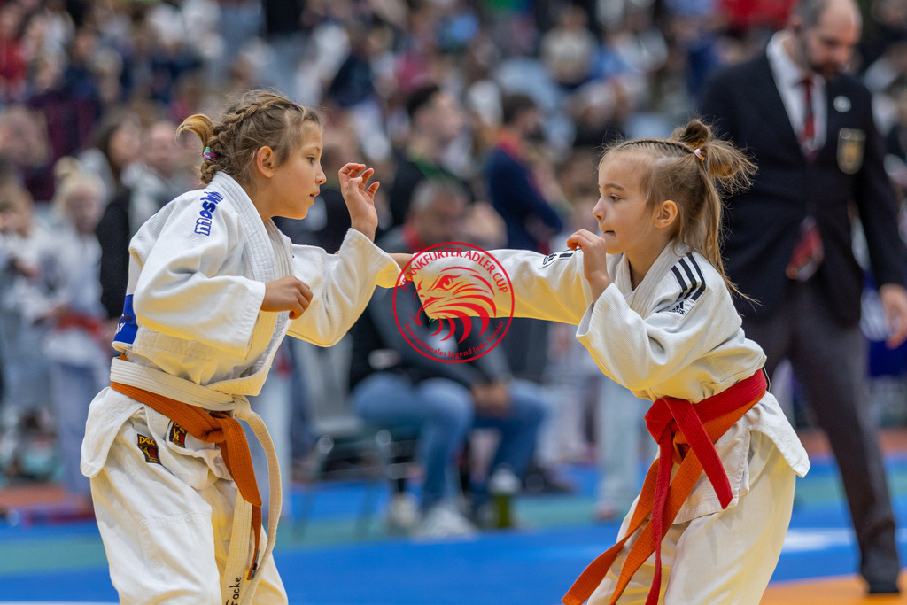 Internationaler Adler Cup 2024 | Foto vom Internationalen Adler Cup Judo Turnier im Sport- und Freizeitzentrum Kalbach im Oktober 2024 - Realisiert mit Pictrs.com