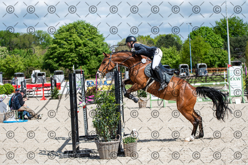 KPT_5175 | andre_photographic