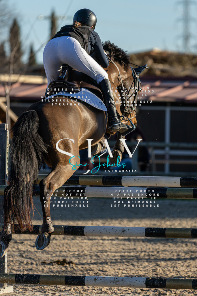 IMG_2436 | s-jay-photography - Realisiert mit Pictrs.com