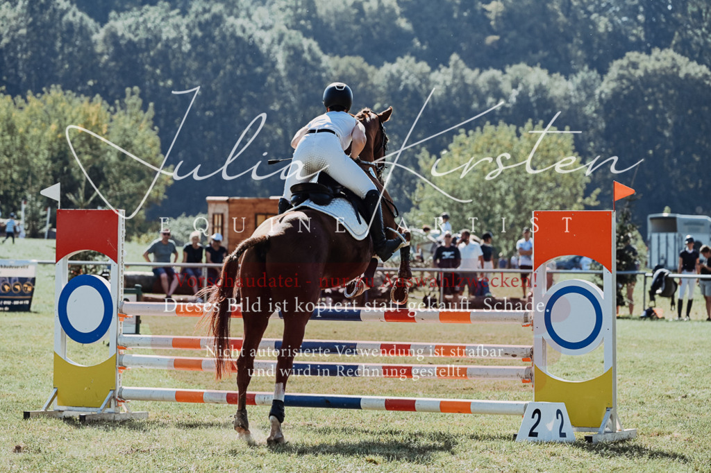 DSC_5652 | Pferde- und Turnierfotografie in Westsachsen. Pferdeportraits, Auftragszeichnungen und intuitive Kunst.