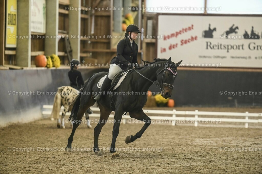 20231029_02_Reiter-WB_Schritt-Trab-Galopp_Abteilung-01_0027 | Foto: Thomas Hartig