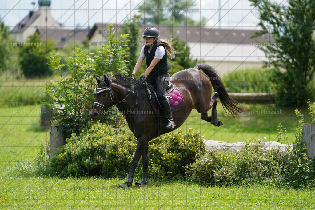 20240622-FAH07475 | Turnierfotografen Bayern, Reitsportbilder aus dem Geländekurs mit Felix Etzel auf dem Gut Waitzacker 2024
