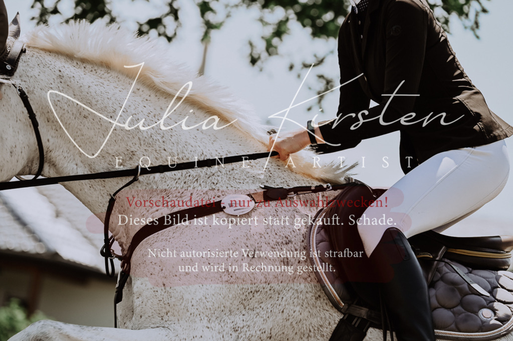 DSC_0265 | Pferde- und Turnierfotografie in Westsachsen. Pferdeportraits, Auftragszeichnungen und intuitive Kunst.