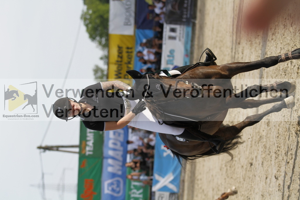 _MG_6486 | equestrian-live-com