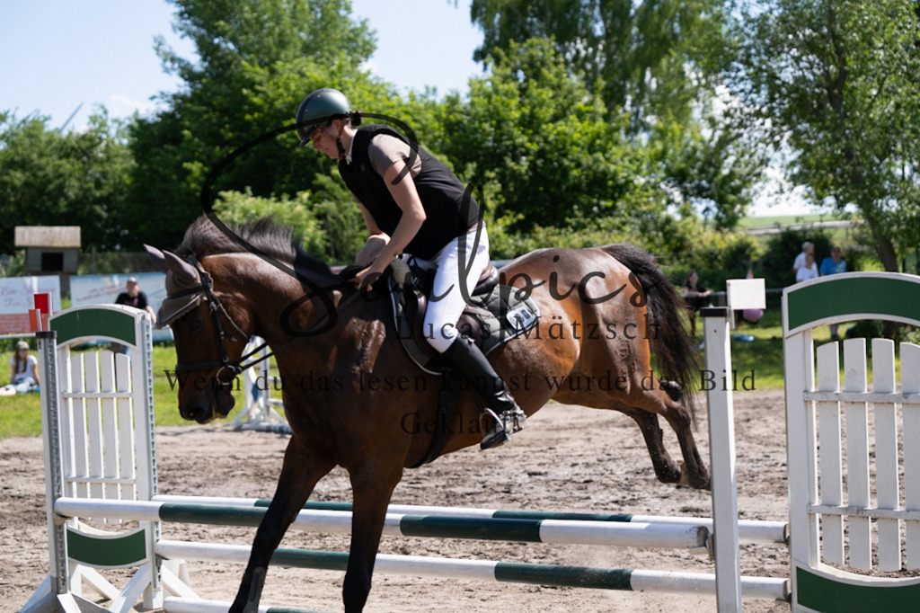 A7V03352 | Pferdefotograf