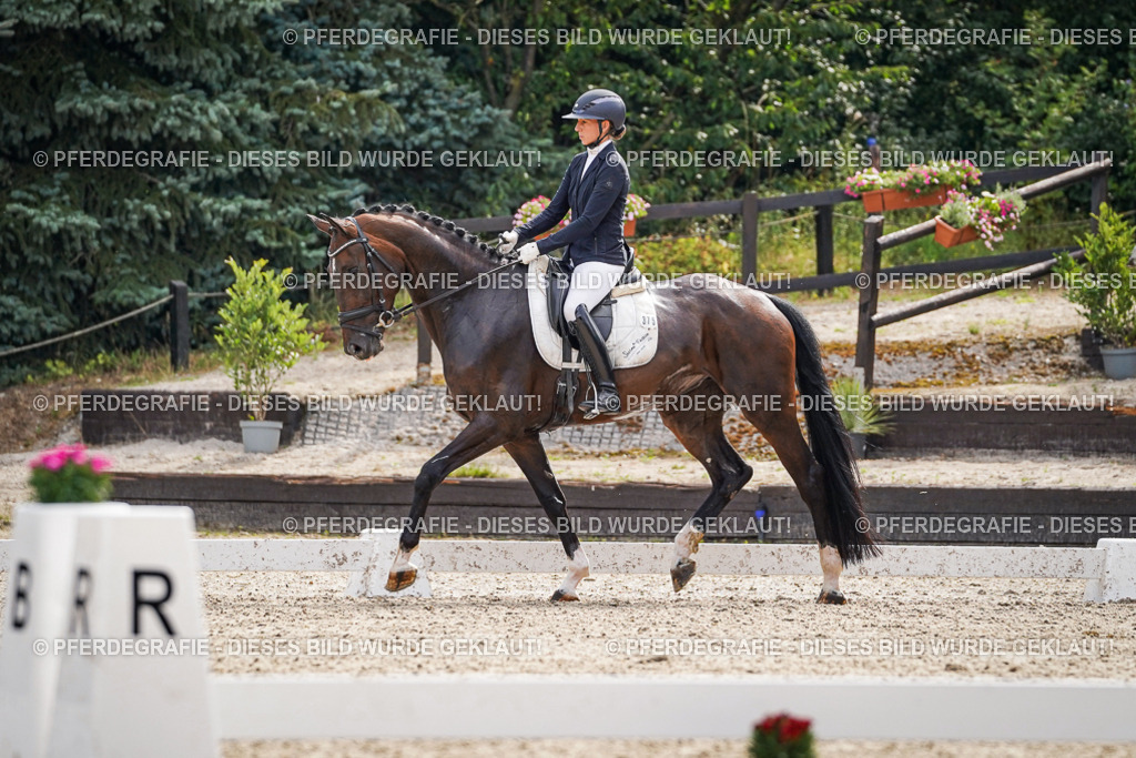 DSC07669 | Pferdegrafie