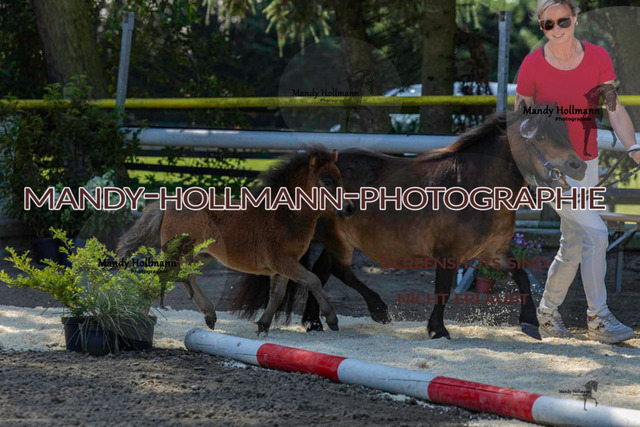 _MG_0442 | mandyhollmannphotographie