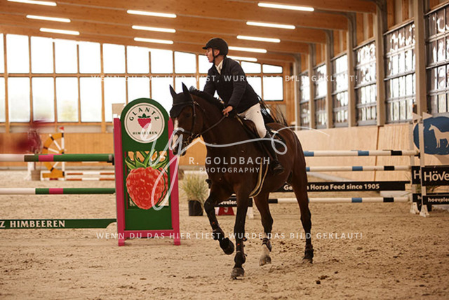 1J2A6532Karl Mattis Krummheuer_ Ascalino 3_ Kn016_ Glantz_ Hohen Wieschendorf | Foto- und Videografie für alles rund ums Pferd. Hochwertige Bilder und Videos vom Spring- und Dressurreiten, Voltigieren & mehr. Jetzt aktuelle Veranstaltungen und Preise im Shop ansehen. - Realisiert mit Pictrs.com