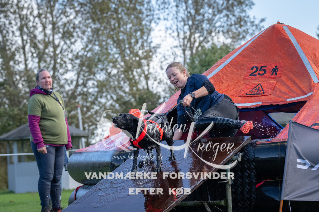 1255-90182 | kk-dogfotos