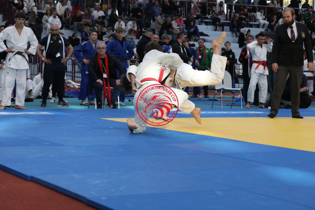 1J7A2336 | Fotos vom Adler Cup - Pictures from Adler Cup

Hier findet Ihr alle Eindrücke und großen Momente der Adler Cup Wochenenden. Here you will find all impressions and great moments of the Adler Cup weekends. - Realisiert mit Pictrs.com