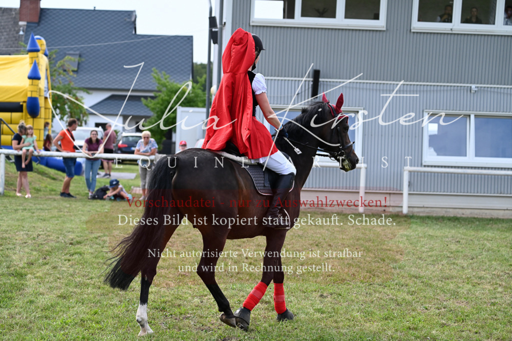 DSC_9072 | Pferde- und Turnierfotografie in Westsachsen. Pferdeportraits, Auftragszeichnungen und intuitive Kunst.