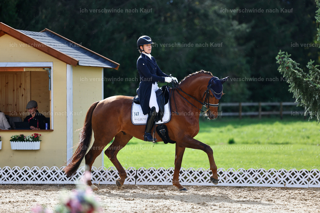 6-143-AMATUER-DRESSUR S_  -StoibPH-3429 | working equitationturnier fotograf videograf stoibphotography marixx film working equitation deutschland reitsport turnierfotografie eventfotografie equestrian events