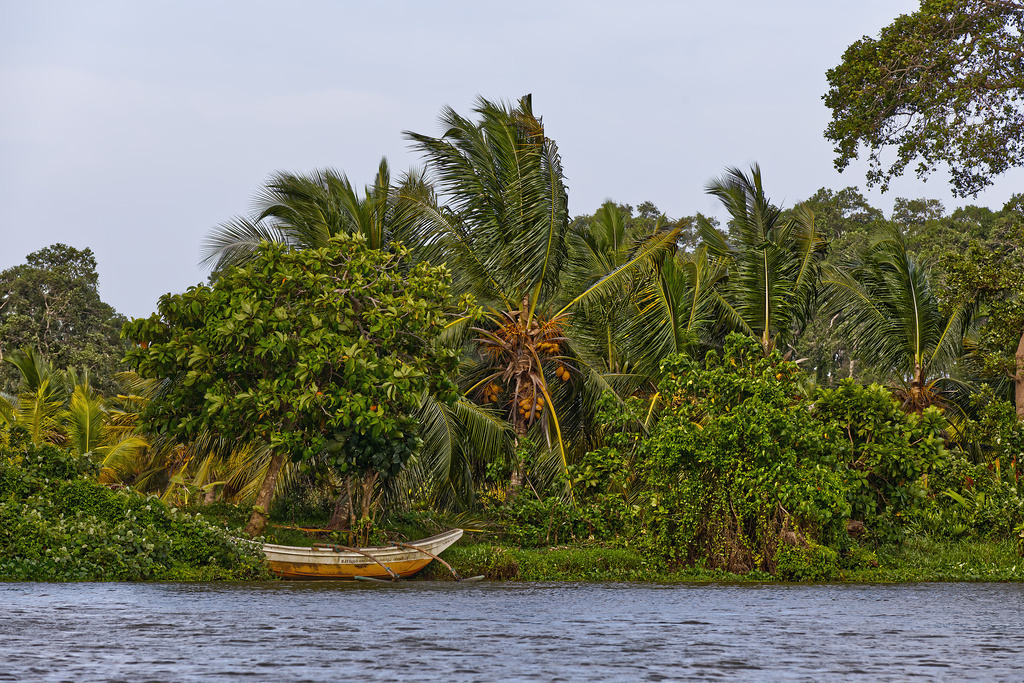 1H5A0775 | ansichtssache