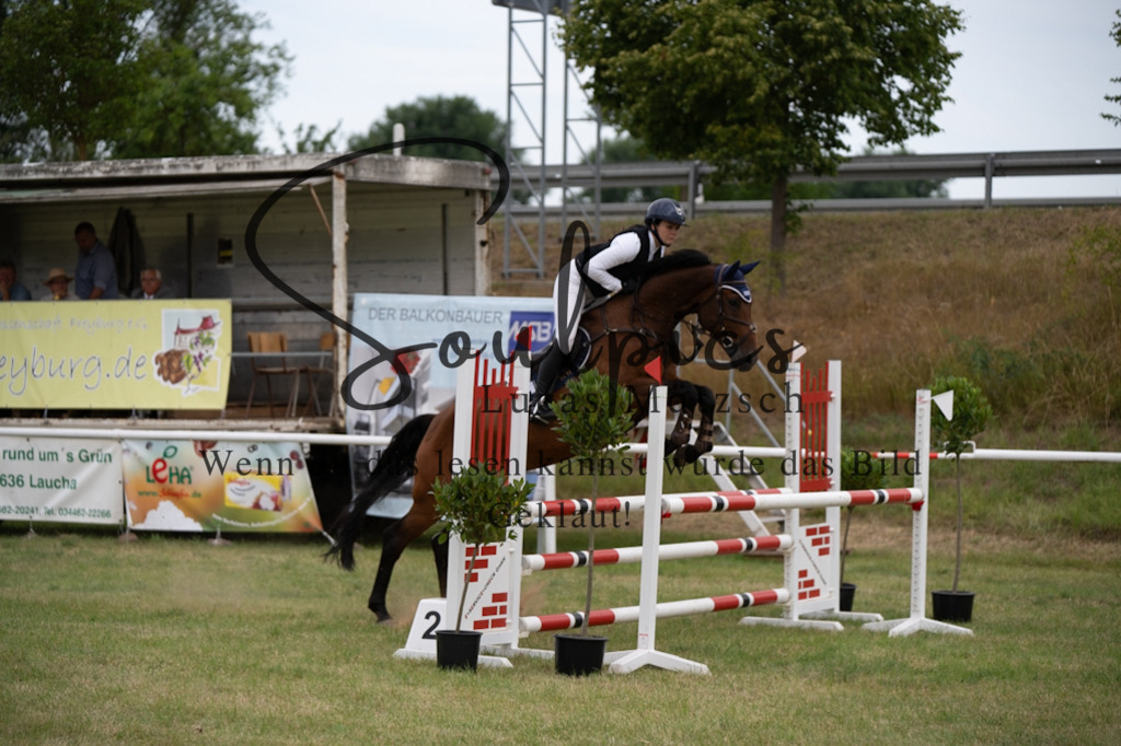 A7V01324 | Pferdefotograf