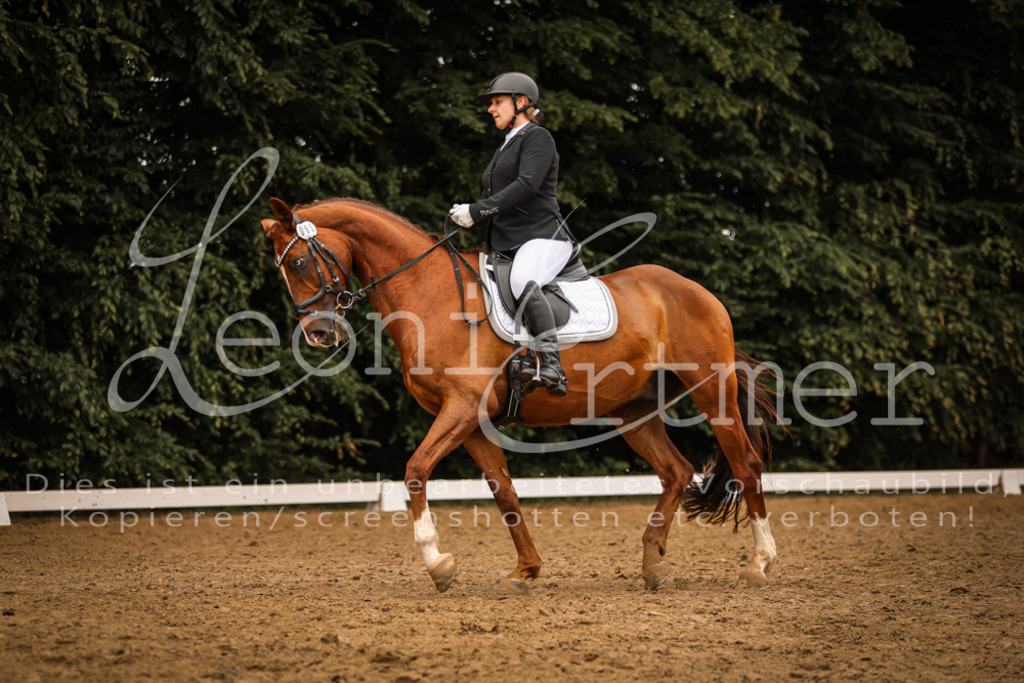 DoDrA200177 | Leoni Ertmer Photography - Realisiert mit Pictrs.com