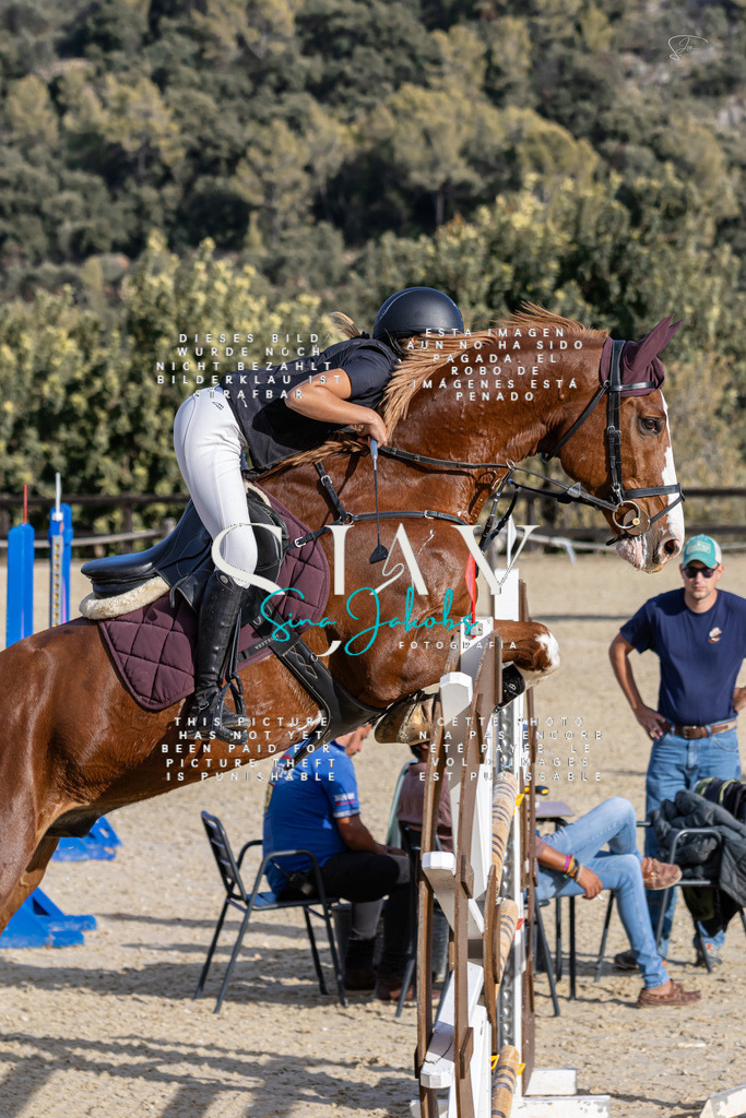 IMG_0184 | s-jay-photography - Realisiert mit Pictrs.com