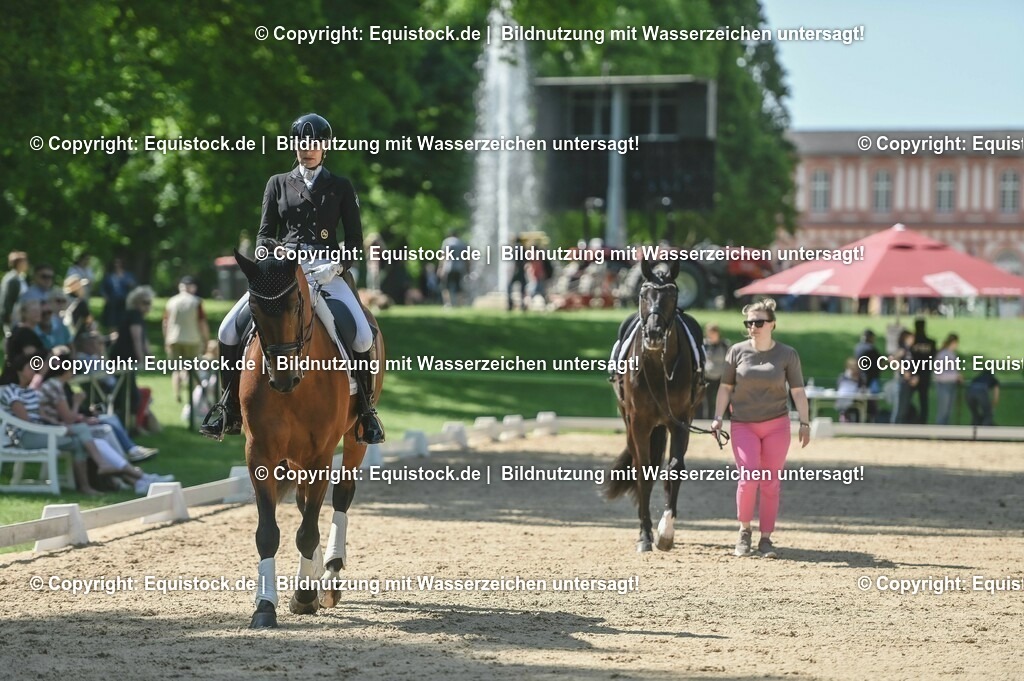 20230529_29_Louisdor_0006 | equistock