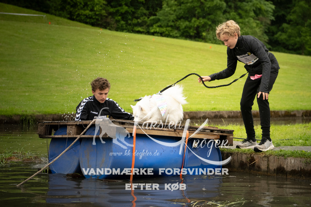 1200_ZZ96209 | kk-dogfotos