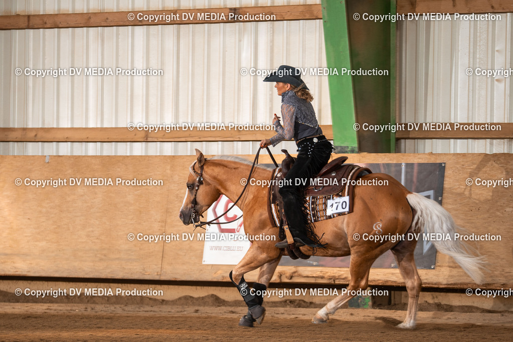 Balingen Tag 2-1401 | dv-media-shop - Realisiert mit Pictrs.com