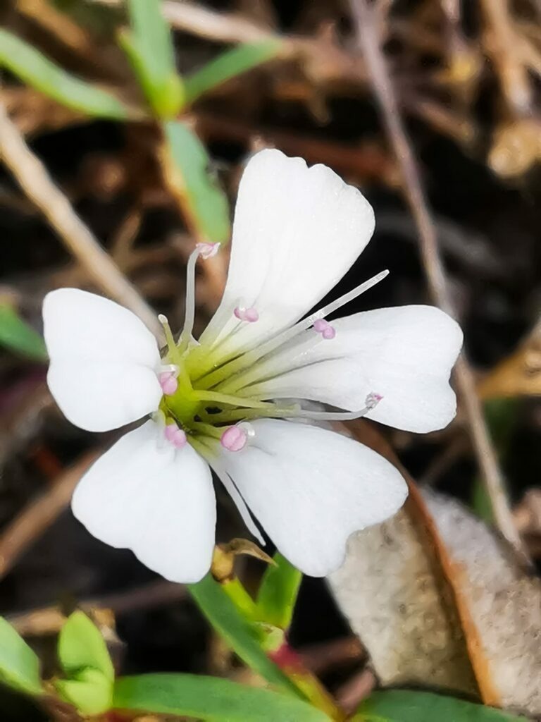 PSX_20221107_220731 | mtkfoto_ - Realisiert mit Pictrs.com