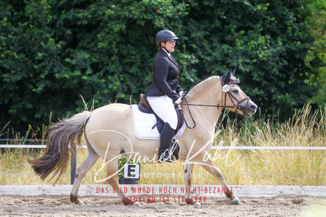 DKP45874 | Turniersportfotografie; Pferdefotografie; Dressurfotografie