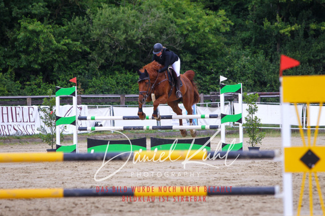 DKP41990 | Turniersportfotografie; Pferdefotografie; Dressurfotografie