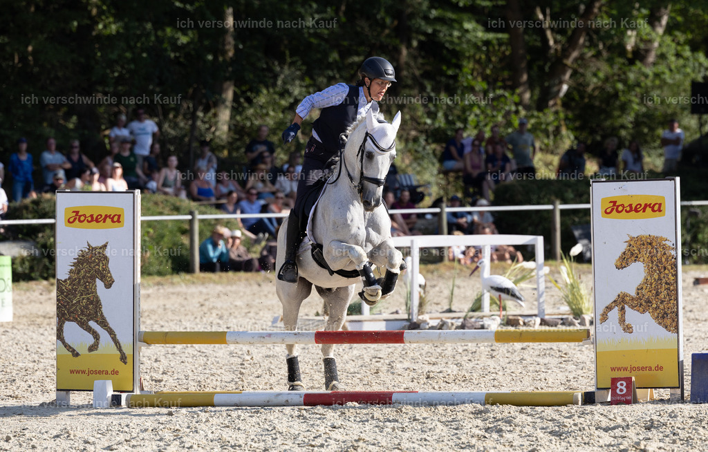 WS_SPEED_57_KerstinBernhardt-20 | working equitationturnier fotograf videograf stoibphotography marixx film working equitation deutschland reitsport turnierfotografie eventfotografie equestrian events