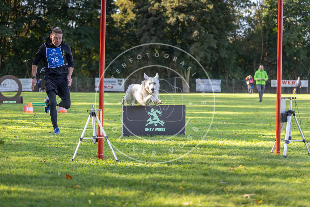 Pfotenfotografie.de_DV3A3488 | Hundefotografie, Tierfotograf, Pfotenfotografie, Fotoshooting Hund, Hunde Portrait, Hundesport, Hundeportraits, Heideshooting, Hunde, Sportfotograf, Hundefotograf, Turnierhundsport, THS, canicross - Realisiert mit Pictrs.com