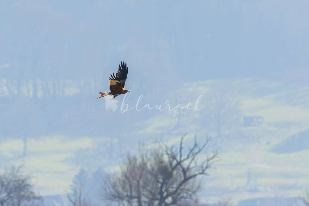  waterslide--4 | Frühlingserwachen