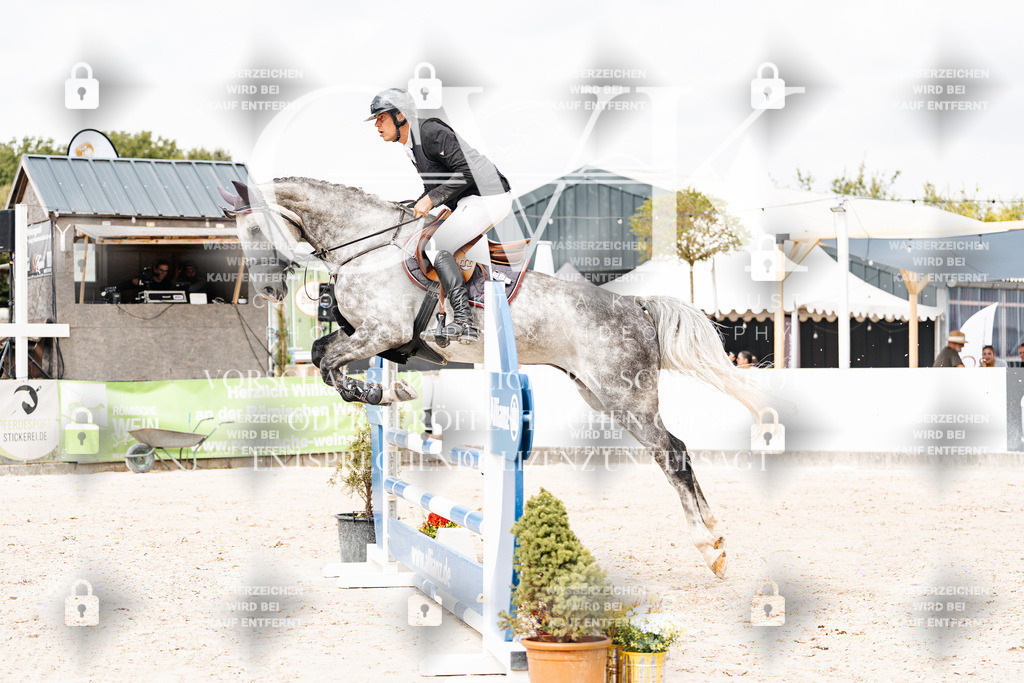 CK909174 | Turnierfotografie Pferdefotografie Trier Rheinland-Pfalz Pferdesport Reitsport Tierfotografie Sportfotografie Pferdevideo Pferdevideografie Equestrianvideography equestrianphotography  - Realisiert mit Pictrs.com