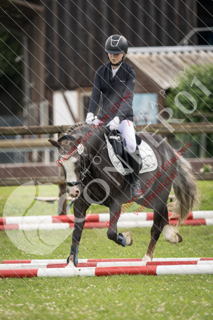 IMG_2694 | Sport-, Event- und Tierfotos in Profiqualität. Einfach auswählen, bestellen und herunterladen. Dein Moment – perfekt festgehalten.