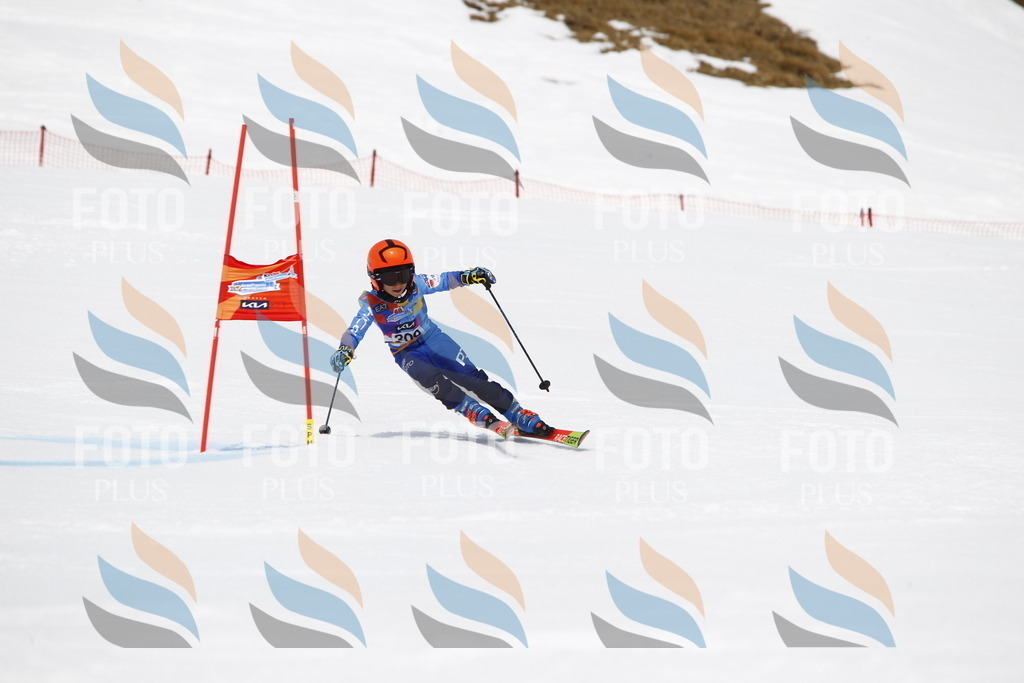 _U3G7676 | holidayphoto