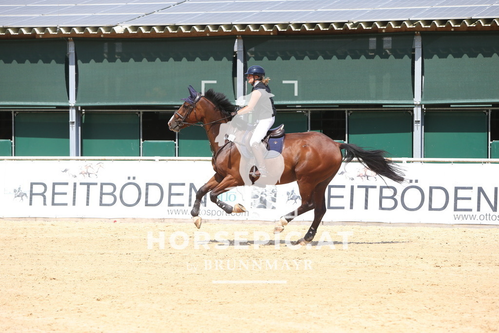 DL2Q1238 | Willkommen bei Brunnmayr - Design & Fotografie – Ihrem Spezialisten für Reitturniere und Pferdeveranstaltungen in Oberösterreich, Salzburg und Bayern! Seit über 17 Jahren sind wir leidenschaftlich dabei.