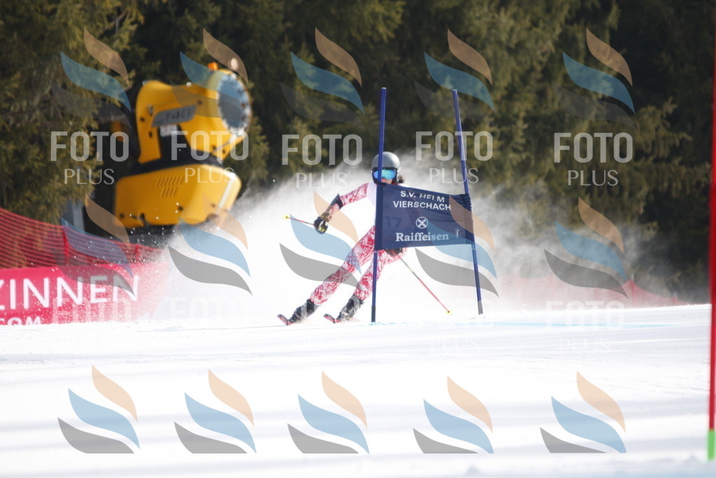 D8345 | holidayphoto