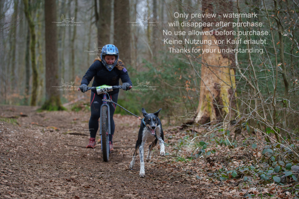 Scooter_So-122 | stephaniefillaphotographie - Realisiert mit Pictrs.com