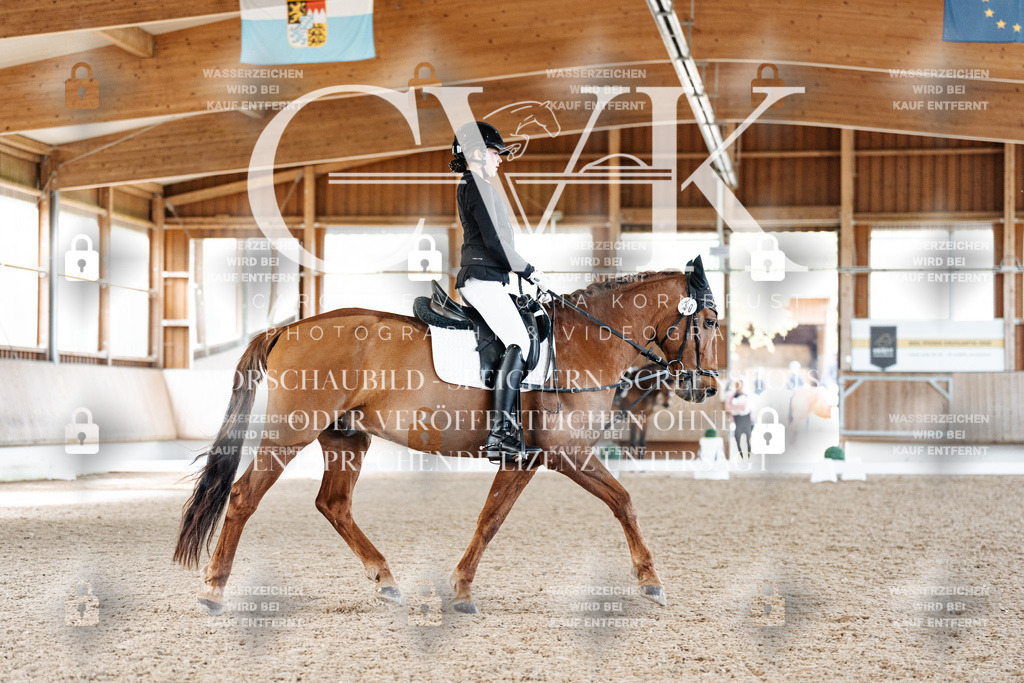 CK909732 | Turnierfotografie Pferdefotografie Trier Rheinland-Pfalz Pferdesport Reitsport Tierfotografie Sportfotografie Pferdevideo Pferdevideografie Equestrianvideography equestrianphotography  - Realized with Pictrs.com