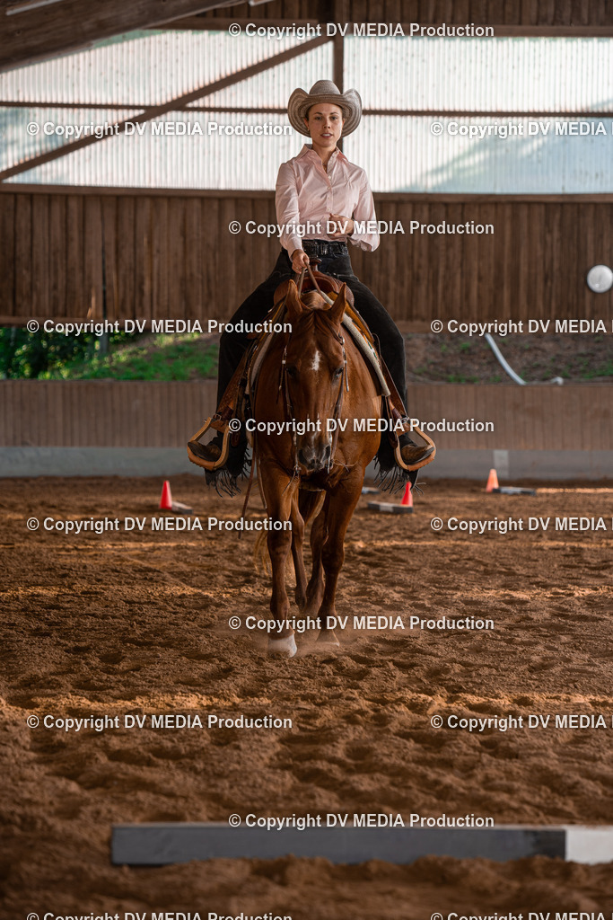 NE101199 | dv-media-shop - Realisiert mit Pictrs.com